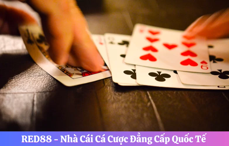 Tổng hợp các game bài siêu hot tại Red88